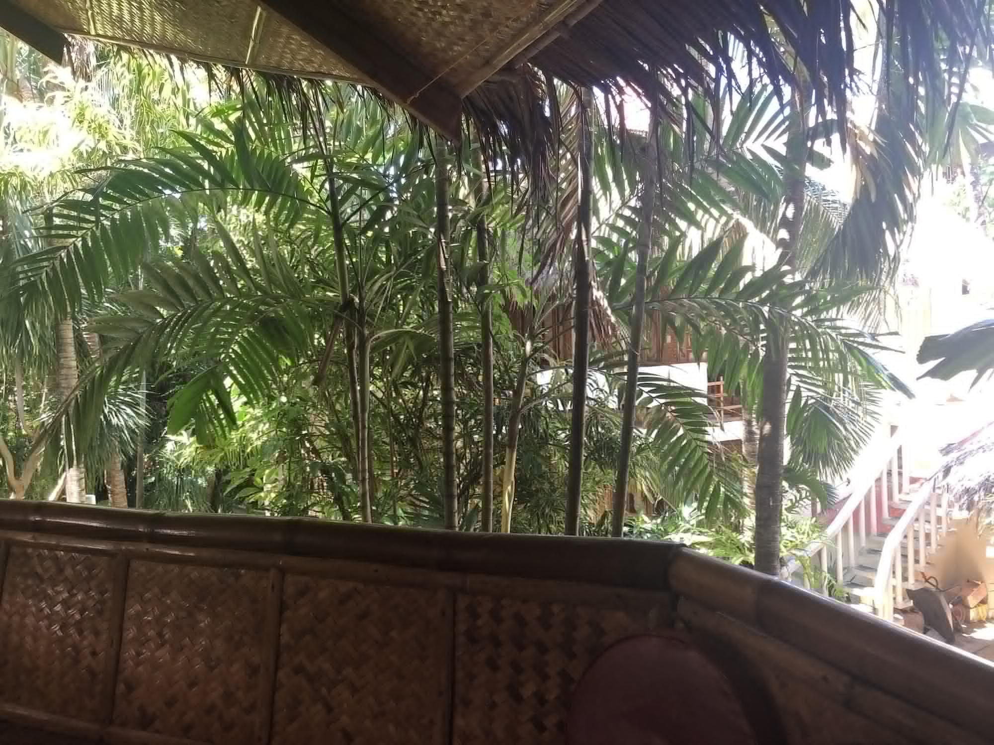 Nigi Nigi Nu Noos 'e' Nu Nu Noos 3* Balabag (Boracay)